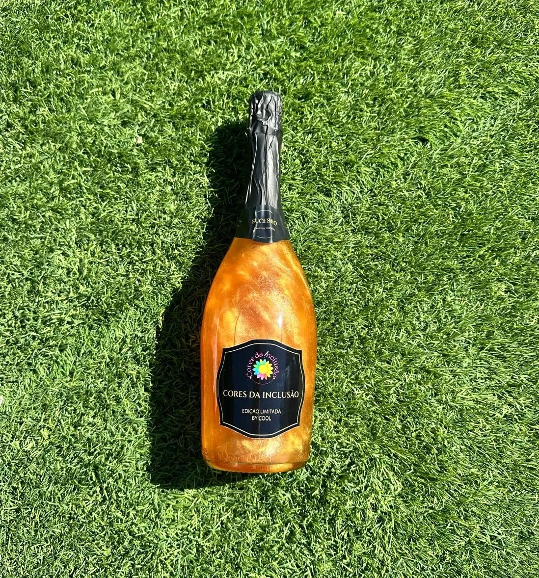 Cocktail Cores da Inclusão